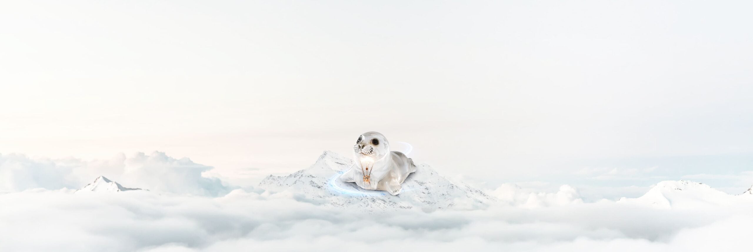 Impacto ambiental con la sostenibilidad energértica Colgas